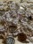 IMG_7822.jpeg