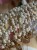 IMG_7830.jpeg
