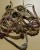 IMG_7832.jpeg