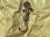 IMG_7817.jpeg