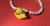 IMG_3616.jpeg